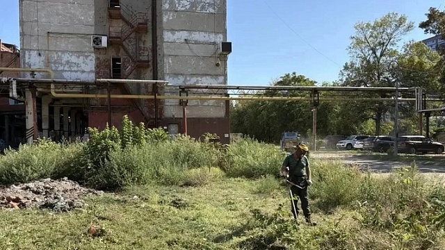 Фото: пресс-служба администрации Краснодара