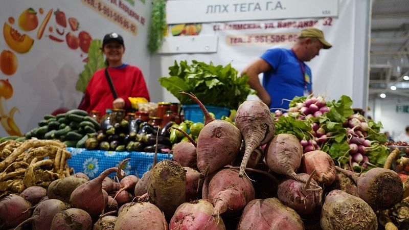 На осенней «Кубанской ярмарке» продукцию представят свыше 800 производителей