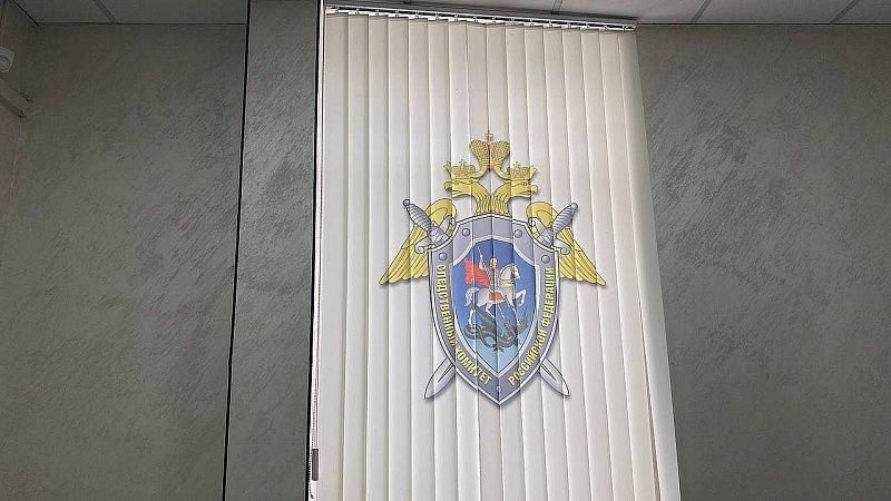 ФСБ показала кадры задержания призывавшей к ударам по Москве женщины в Донецке