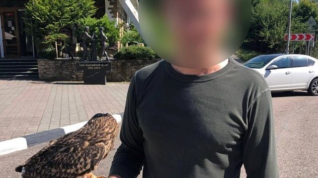 Фото: полиция Сочи