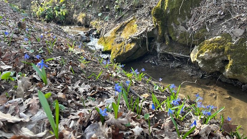 Женщина случайно застрелила приятеля на охоте под Новгородом