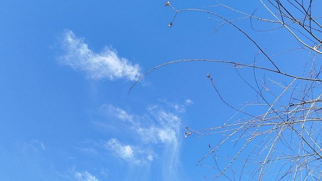 Фото: телеканал «Краснодар»