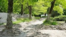 Благоустройство Сквера Медицинских работников закончат до осени в Новороссийске