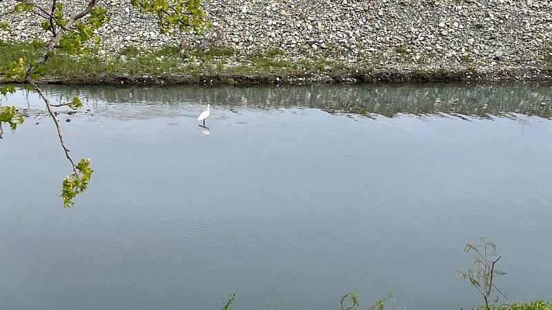 Личность найденного в реке мужчины устанавливают на Кубани