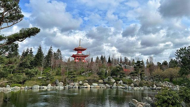 Японский сад в парке «Краснодар»: очередь на входе, строгие правила и первые эмоции от увиденного