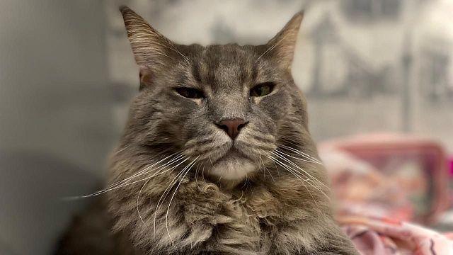 Фото: телеканал «Краснодар»