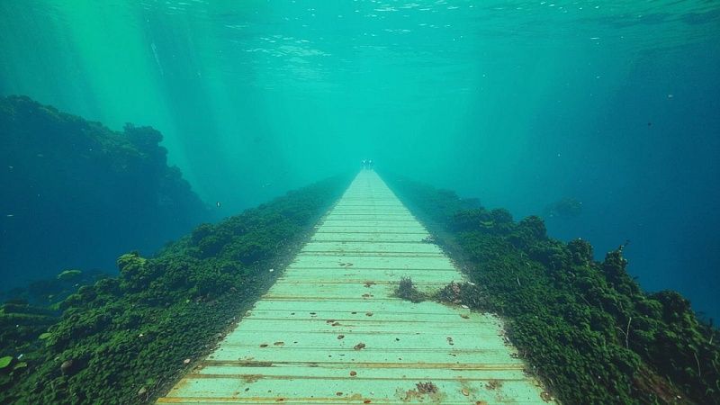 Дорогу из жёлтого кирпича нашли на дне Тихого океана 