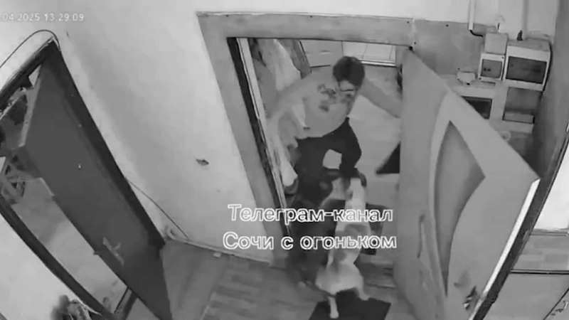 Полиция проверит случай с нападением двух собак на пенсионерку в Сочи