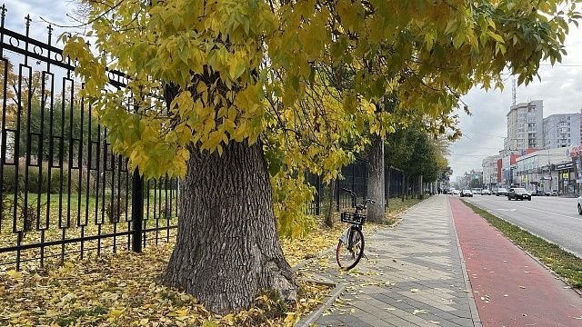 С 11 октября погода в Краснодарском крае начнёт улучшаться Фото: телеканал «Краснодар»