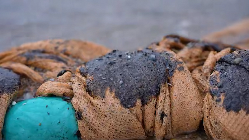 Новую конструкцию сетей для сбора мазута начали тестировать в Анапе