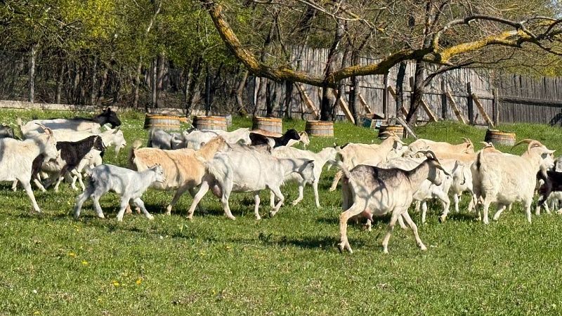 Спрос на специалистов аграрного сектора вырос до 124% на Юге России