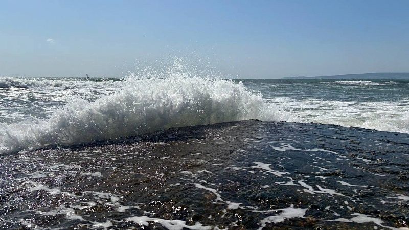 ФАС проиграла судебный спор с Новороссийским морским торговым портом