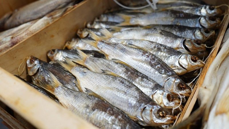 Около 130 тонн нелегальных морских деликатесов изъяли из оборота на Кубани