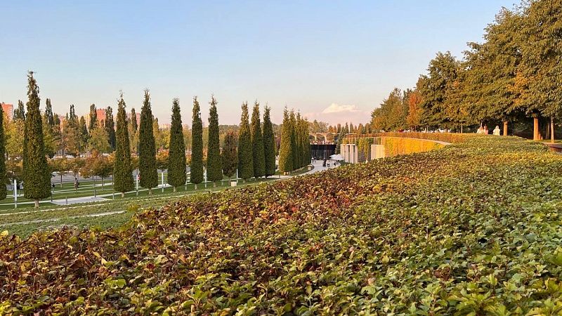 Синоптики заявили о тёплой осени и позднем снеге в Краснодаре