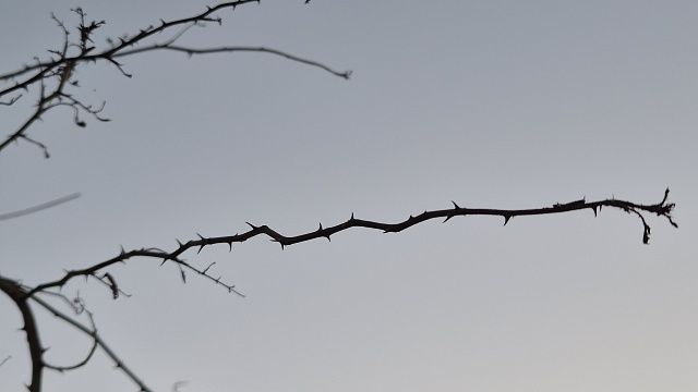 Красный уровень беспилотной опасности ввели в Липецкой области