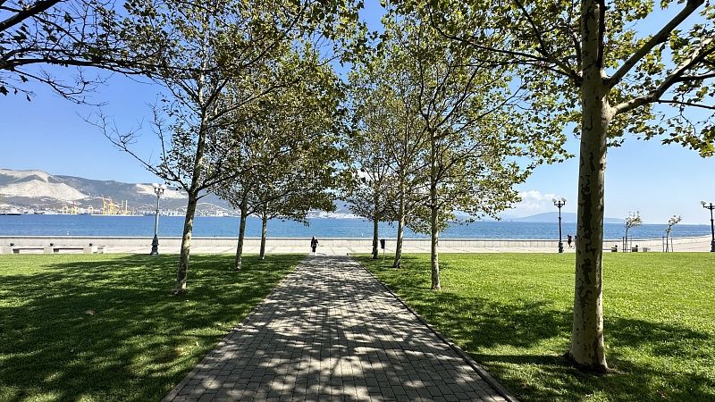 Школьник разбросал хлеб с лезвиями на улицах Новороссийска