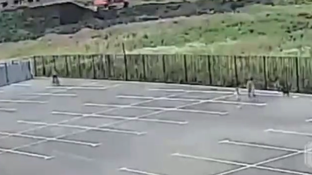 Фото: «Осторожно, новости»