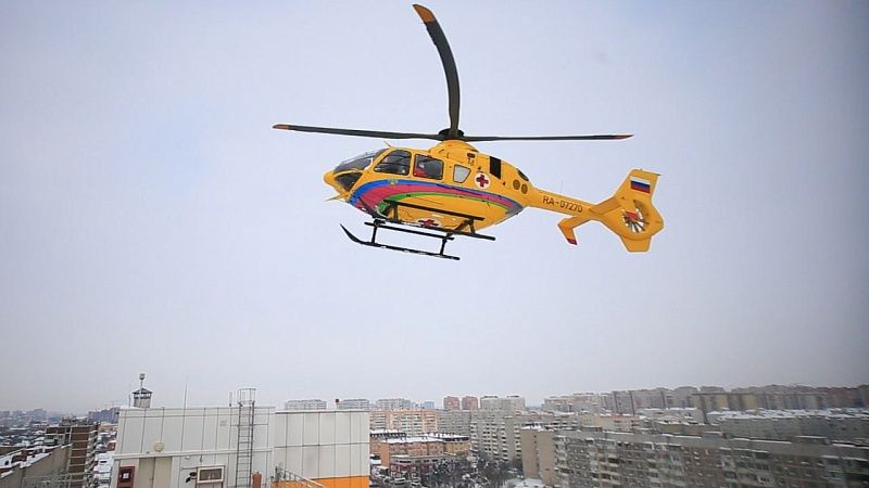 Фрагменты лица покусанного ребёнка извлекли из собак и отправили в Краснодар