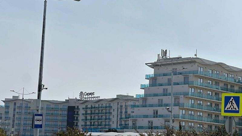 Учёные «Сириуса» создадут 3D-модели опухолей для революции в лечении рака  