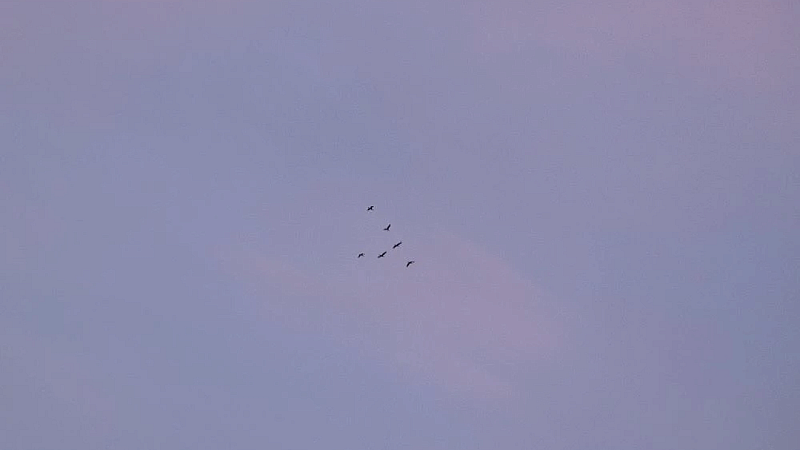 Девять квартир повреждено в результате падения БПЛА в Краснодаре