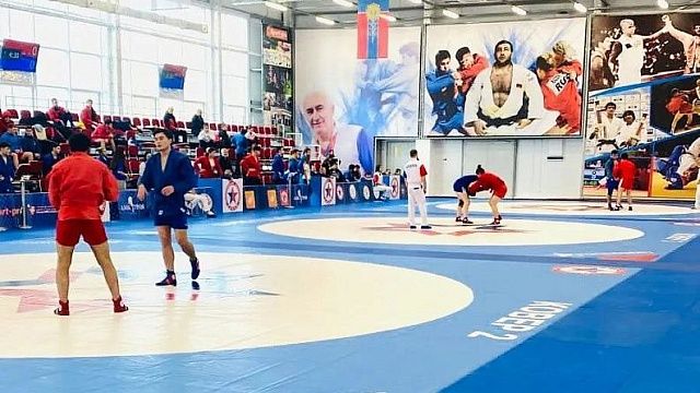 Кубанские самбисты завоевали 30 медалей на первенстве ЮФО