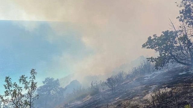 Помощь авиации для тушения лесного пожара запросила мэрия Анапы