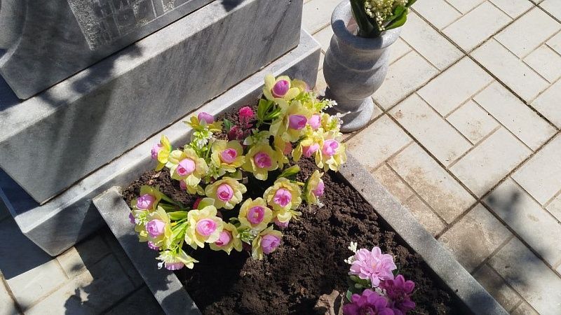 Заминированное ВСУ кладбище обнаружили российские сапёры в ДНР