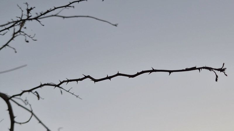 Неизвестный треугольный летательный аппарат заметили в небе США