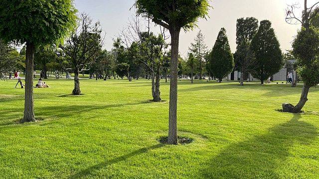 Жара до +36 градусов вернется в Краснодар 18 августа