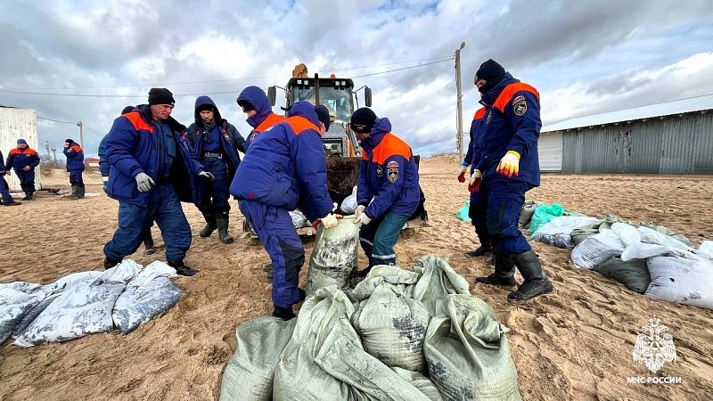 Более 3,3 тонн загрязненного песка и грунта собрали с побережья Кубани