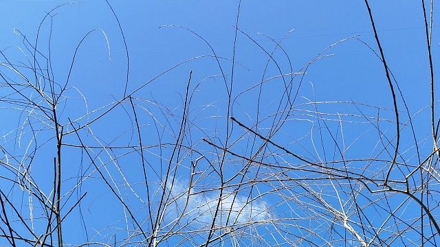 Фото: телеканал «Краснодар»