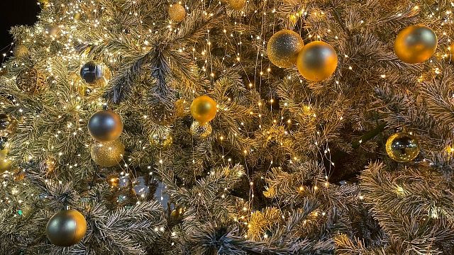 Новогодние каникулы 2024 года начнутся с 30 декабря Фото: Телеканал «Краснодар»