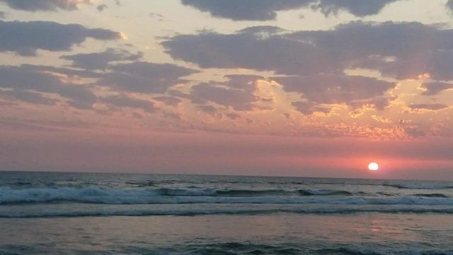 Фото: телеканал  «Краснодар»