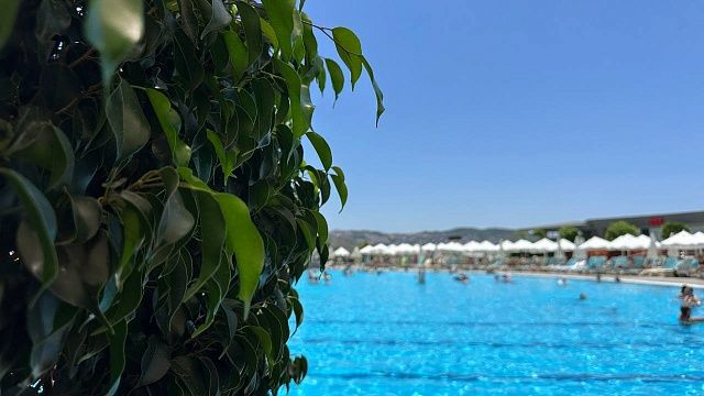 Лидерами по бронированиям в пик сезона стали курорты Кубани