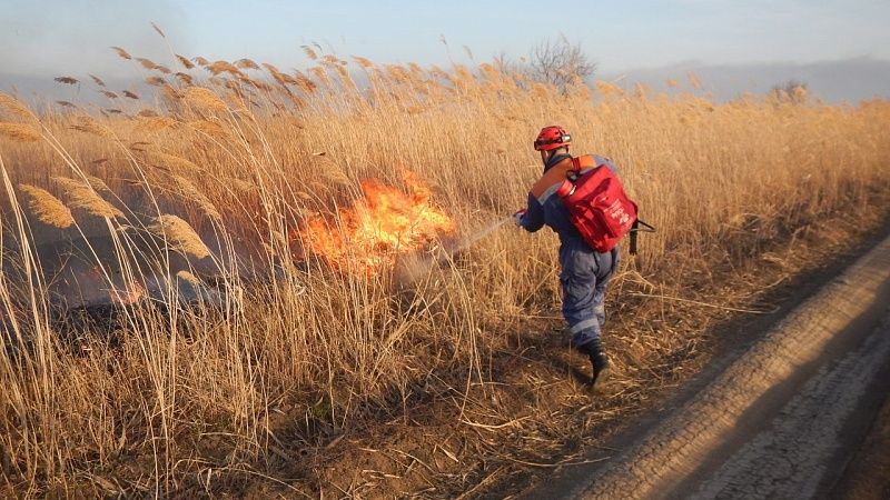 Спасатели 16 раз выезжали на природные  пожары за два дня на Кубани 
