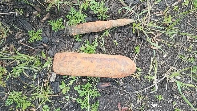 фото: ГУ Росгвардии по Краснодарскому краю