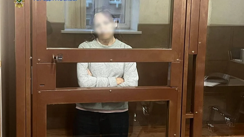 Толкнувшую школьницу на рельсы в метро женщину отправили в психбольницу