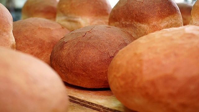 Фото: телеканал «Краснодар»