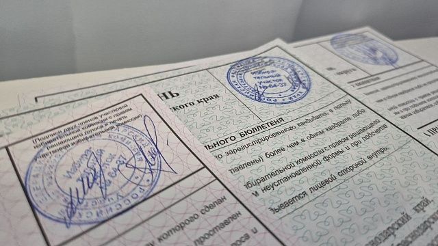 Оппозиция обогнала партию власти на выборах в парламент Молдавии