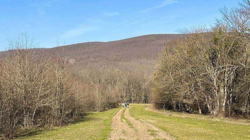 Врач Горячев рассказал, как с наступлением тепла защититься от клещей