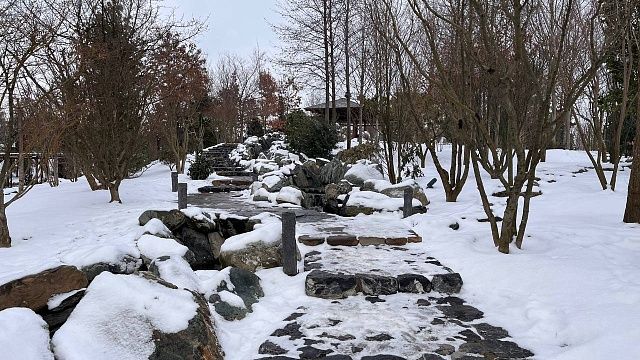 Фото: телеканал «Краснодар»