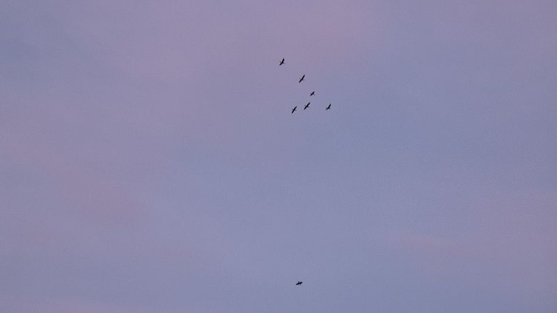 Губернатор Гладков сообщил о разрушениях после атаки БПЛА на Белгород