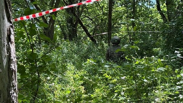 Фото: телеканал «Краснодар»