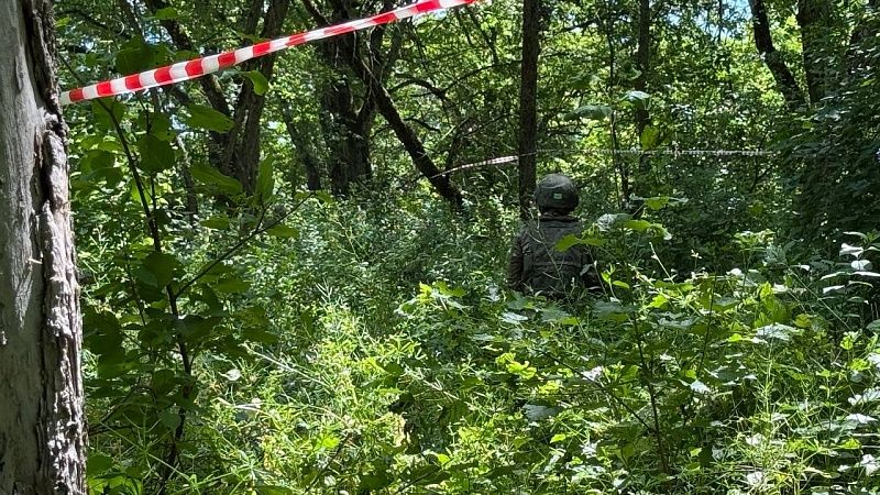 Генерал Попов предупредил о возможном контрнаступлении ВСУ в начале сентября