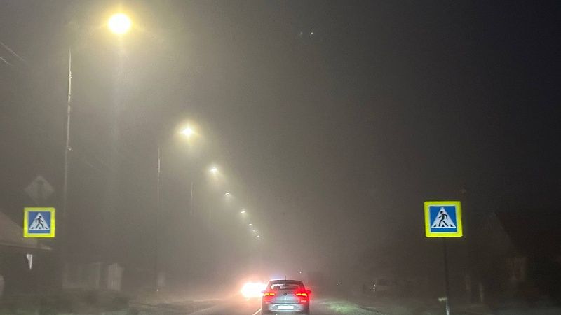 Дождь и туман ожидаются 26 февраля на Кубани