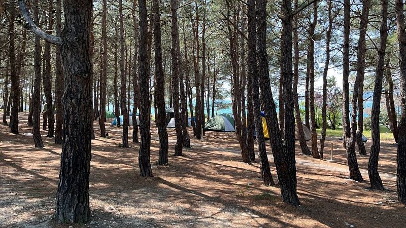 План по развитию научно-популярного туризма разработали на Кубани