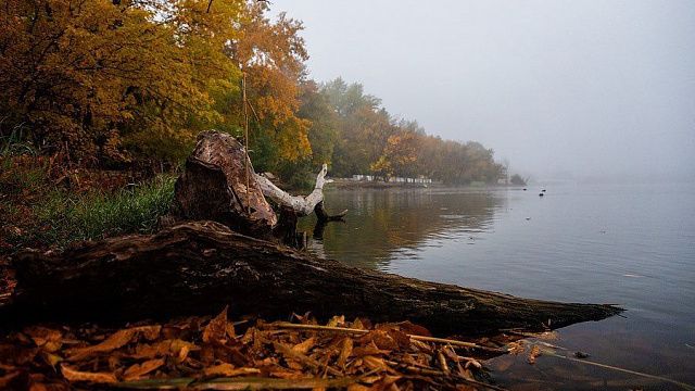 Утром в субботу на Краснодар опустится туман 