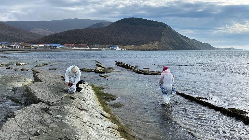 Прием заявок на макет памятника волонтерам в Анапе начнется в июле на Кубани 
