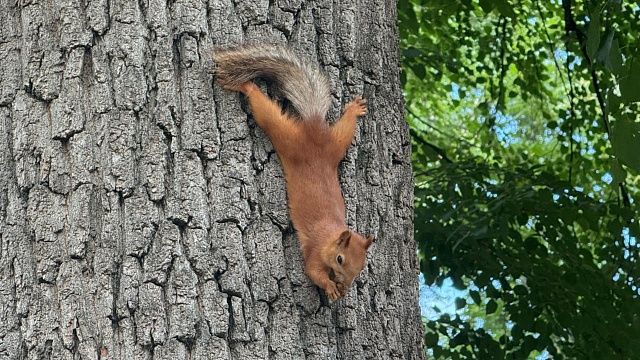 Фото: телеканал «Краснодар»