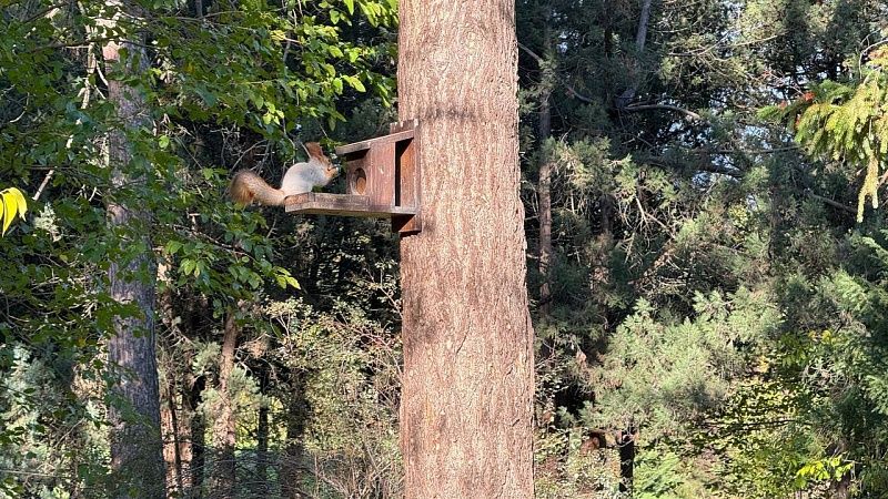 Ветер и тепло до +9 градусов ожидаются в первое вокресенье декабря в Краснодаре